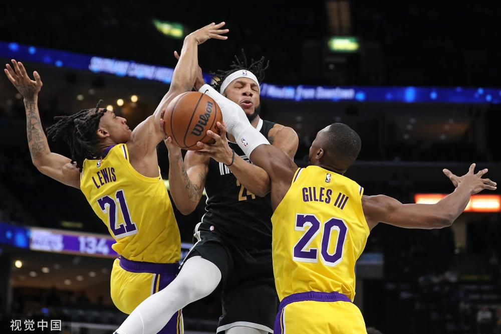 阿根廷便掌 阿根廷便掌