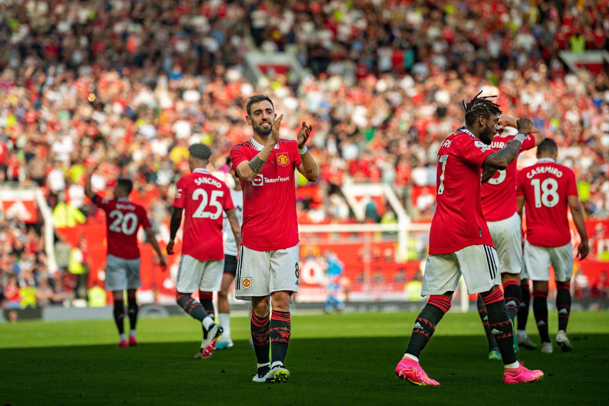 展现出极强 展现出极强